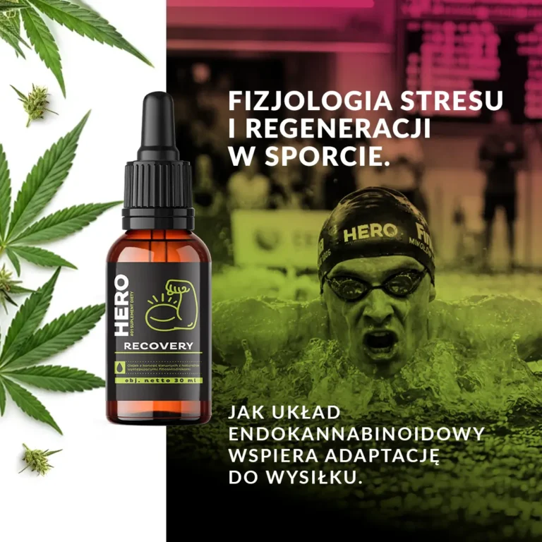 HERO RECOVERY, suplement diety dla aktywnych